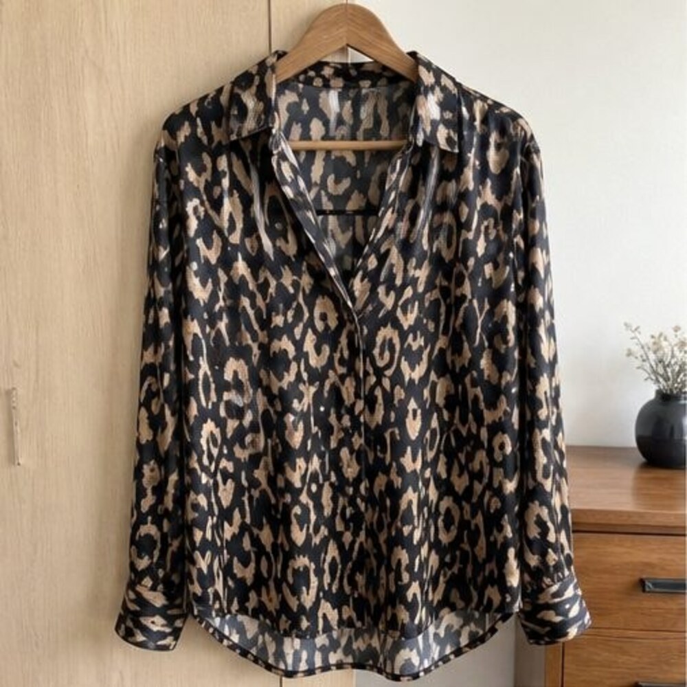 Rust V Neck Top